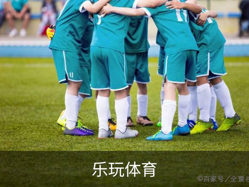 乐玩体育概况